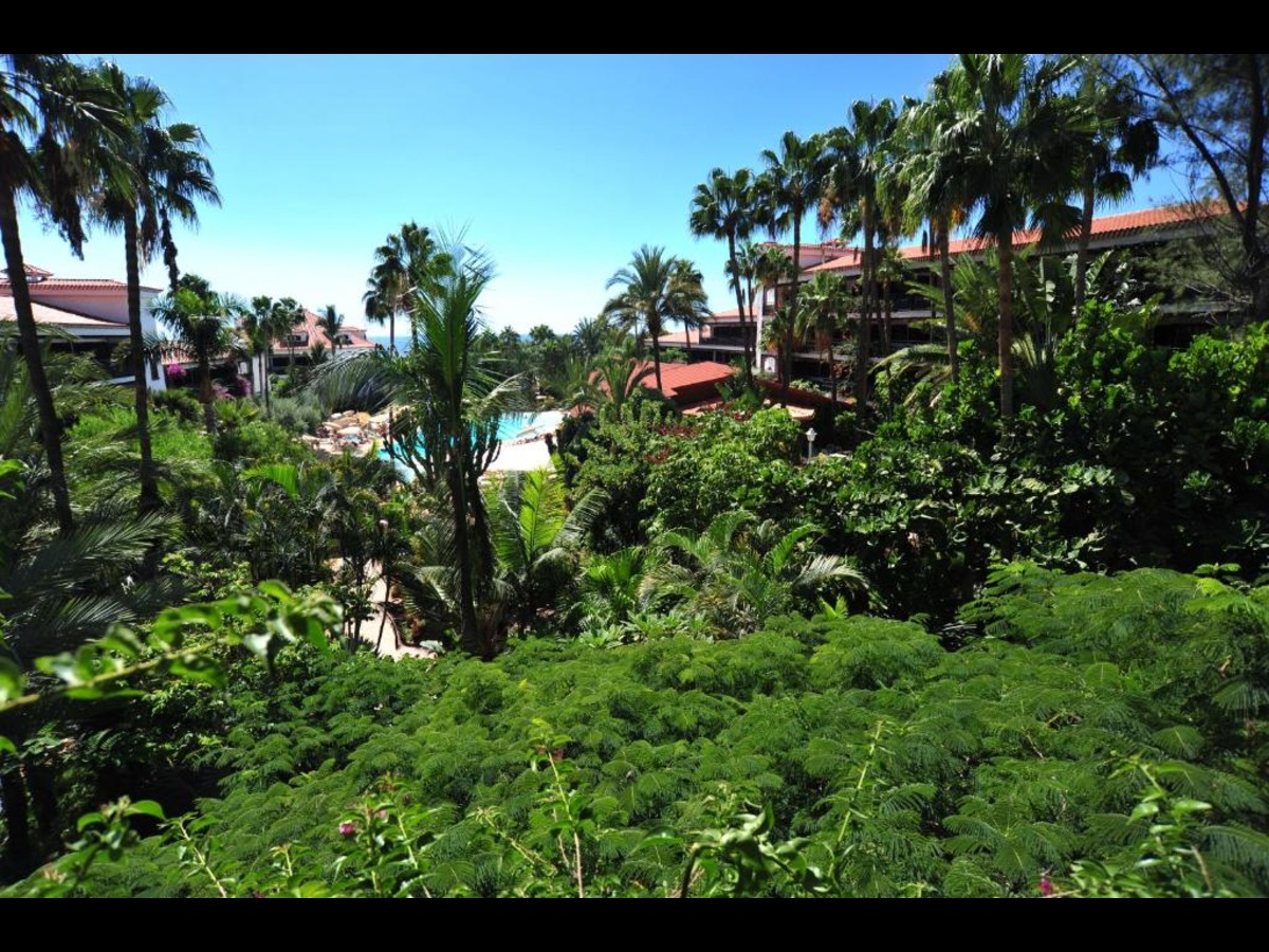 Parque Tropical